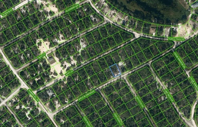 420 Apple Blossom Court, LAKE PLACID