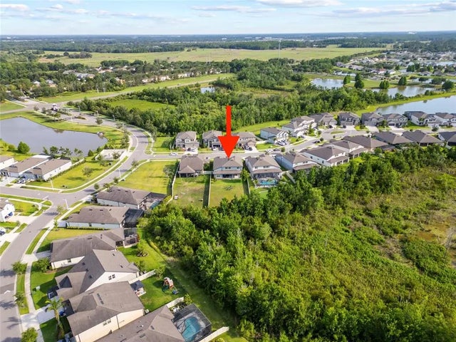 31643 Colada Drift Way, WESLEY CHAPEL