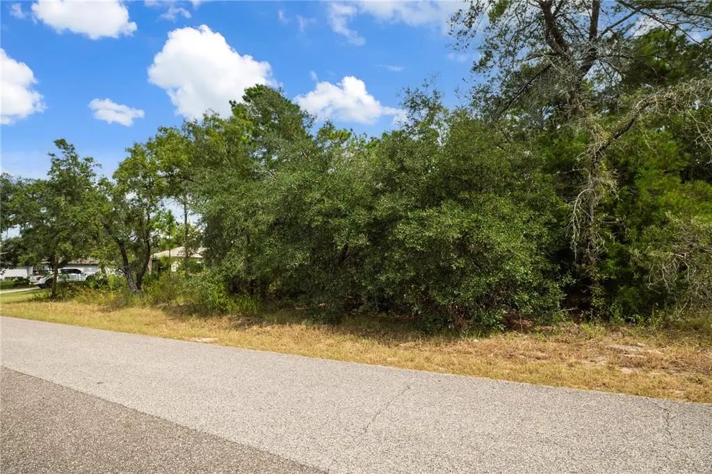 3 of 7 - 11192 Lomita Wren Road, WEEKI WACHEE, FL