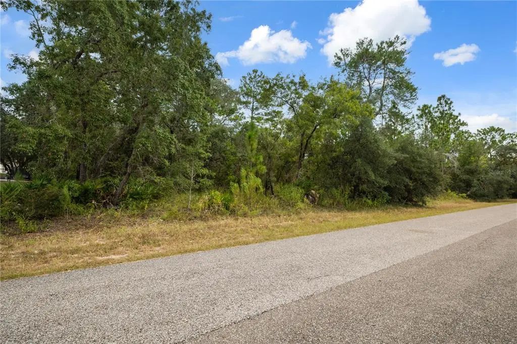 4 of 7 - 11192 Lomita Wren Road, WEEKI WACHEE, FL