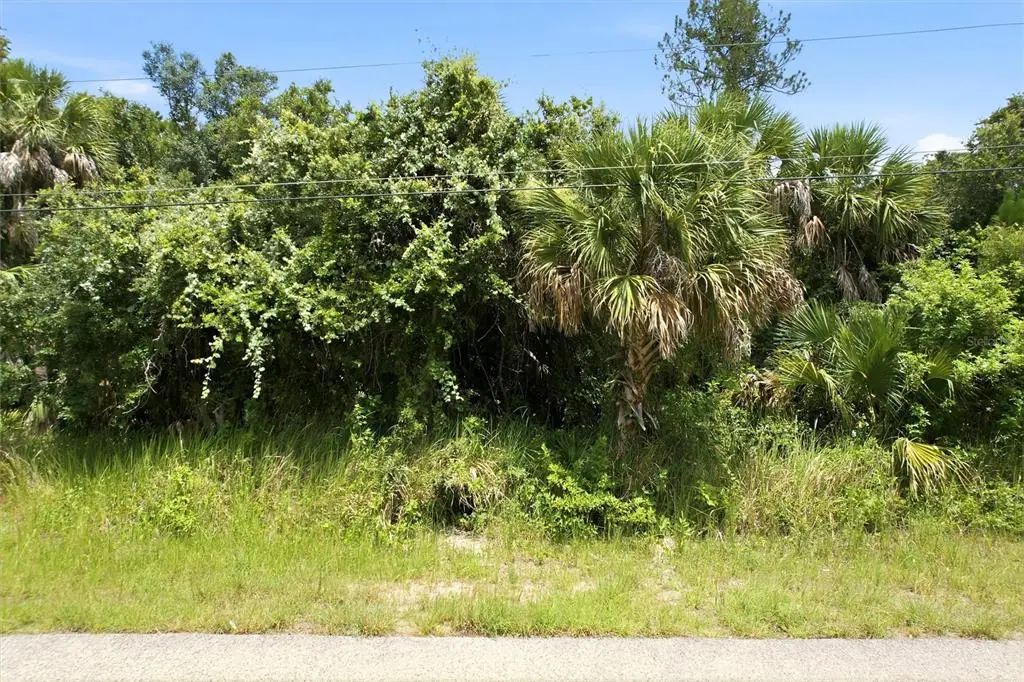 Derrick Street, NORTH PORT