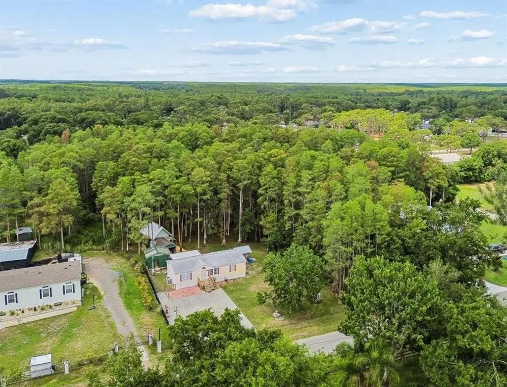 17808 Dogwood Drive, LUTZ