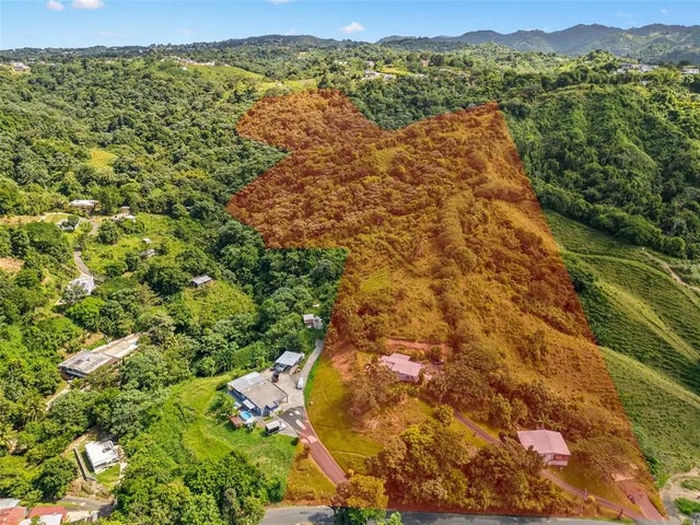 Carr 567 Km 15 Barrio San Lorenzo, MOROVIS