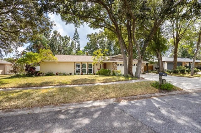 1204 Beacon Hill Drive, TAMPA