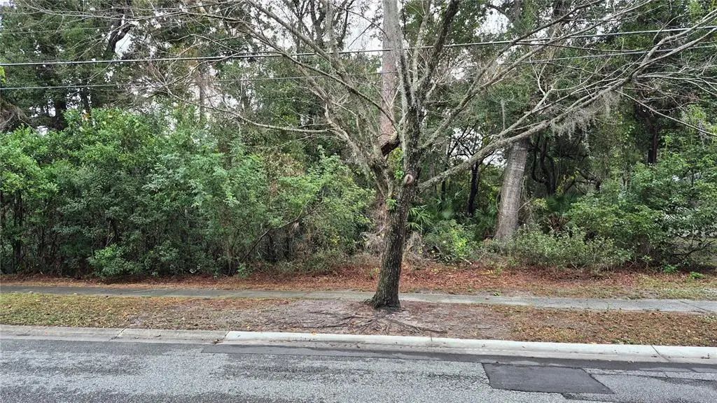 N/A, WINTER SPRINGS