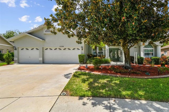 11230 Bloomington Drive, TAMPA