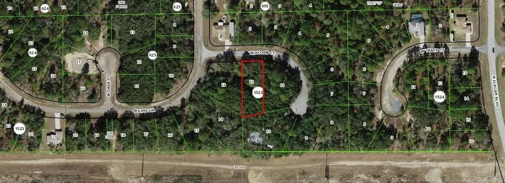 2866 W Acorn Court, DUNNELLON