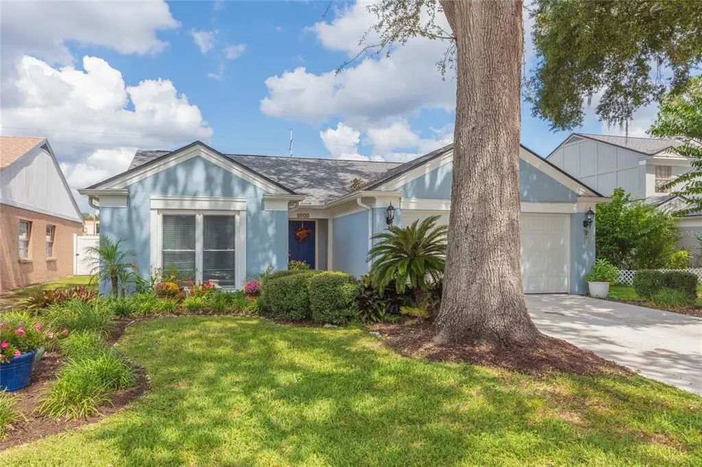 4932 Cypress Trace Drive, TAMPA