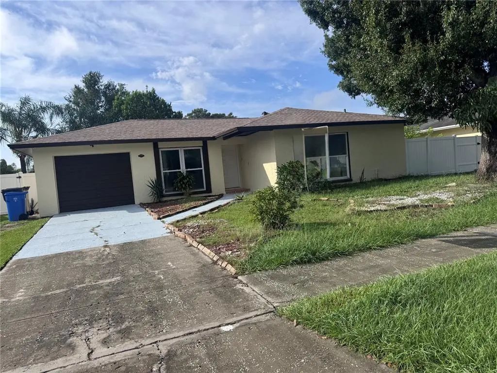 5208 Carrollwood Meadows Drive, TAMPA