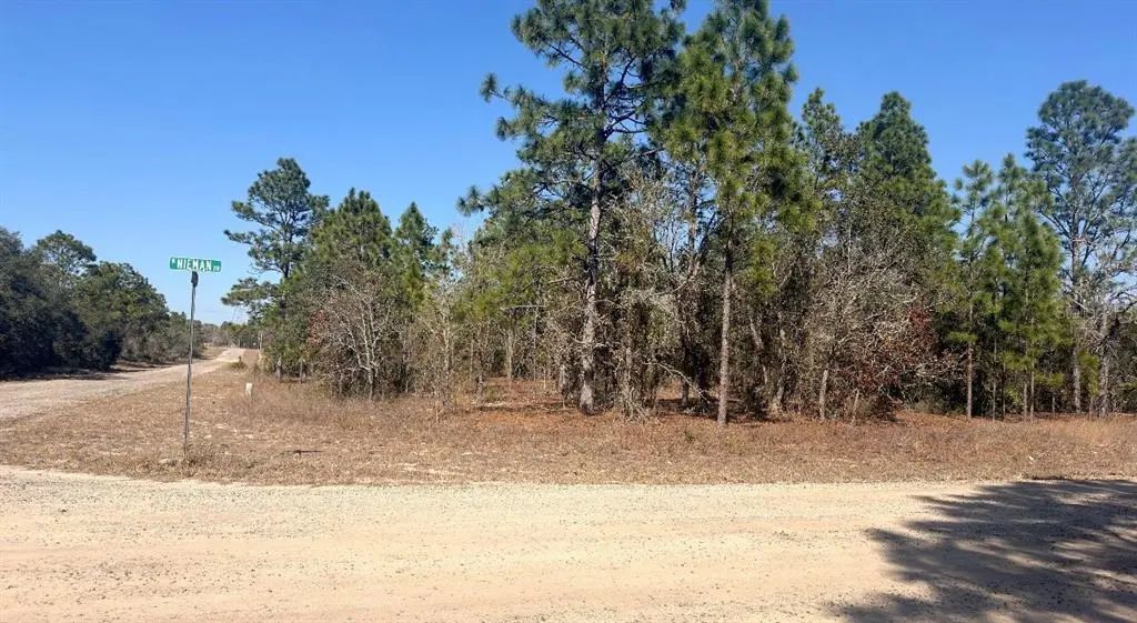 6501 N Winlock Terrace, DUNNELLON