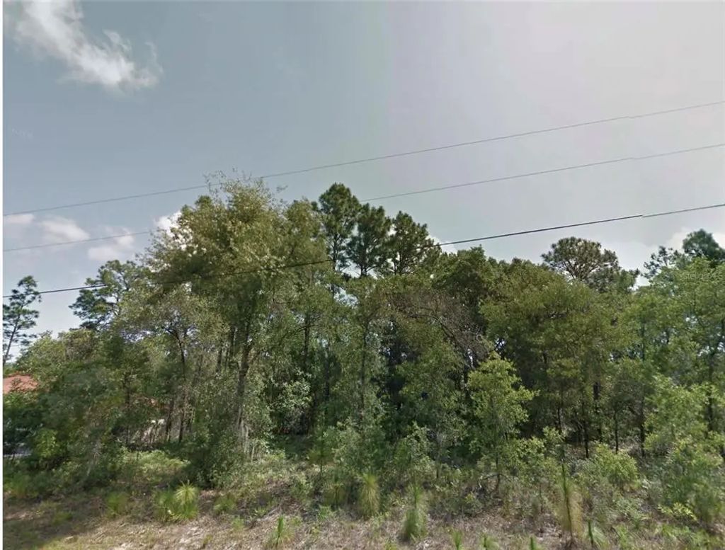 8383 N Manuetta Drive, CITRUS SPRINGS