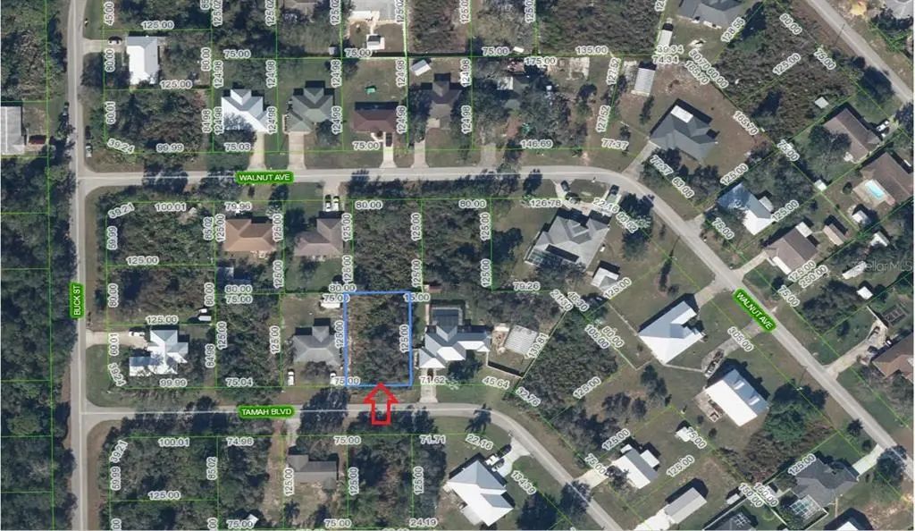 1507 Tamah Boulevard, LAKE PLACID
