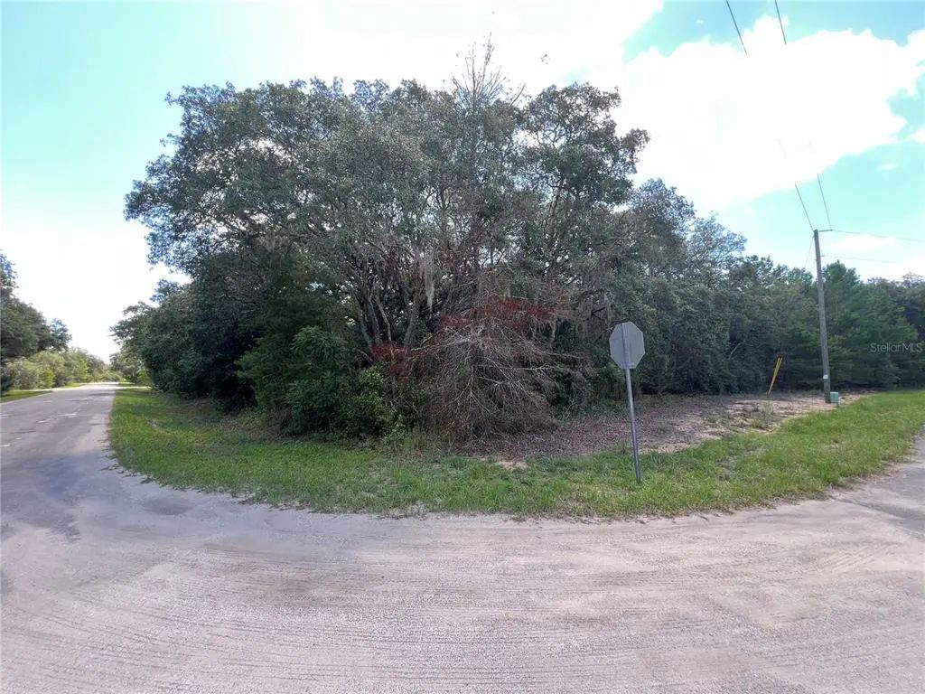 Lot 36 Blk1140 Fisher Way Trail, OCKLAWAHA