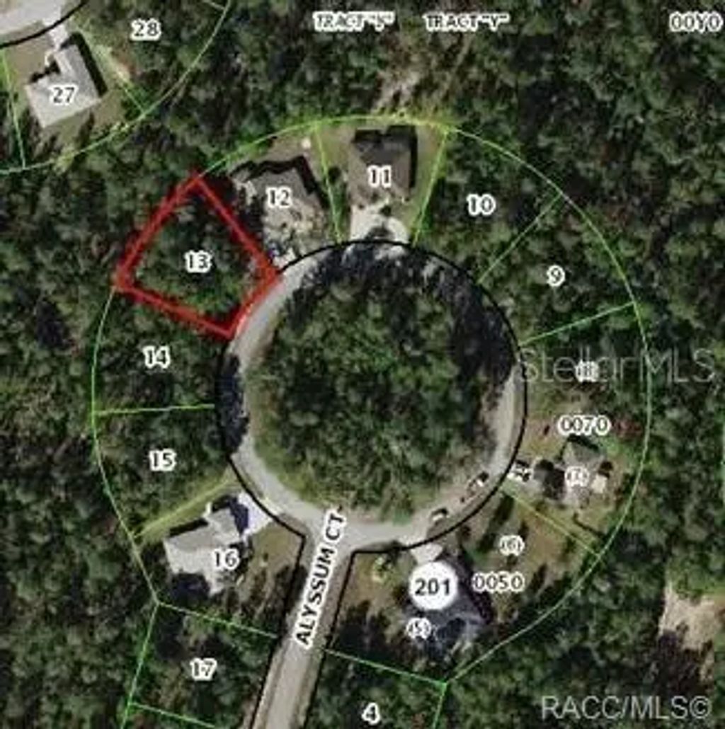 15 Alyssum Court, HOMOSASSA