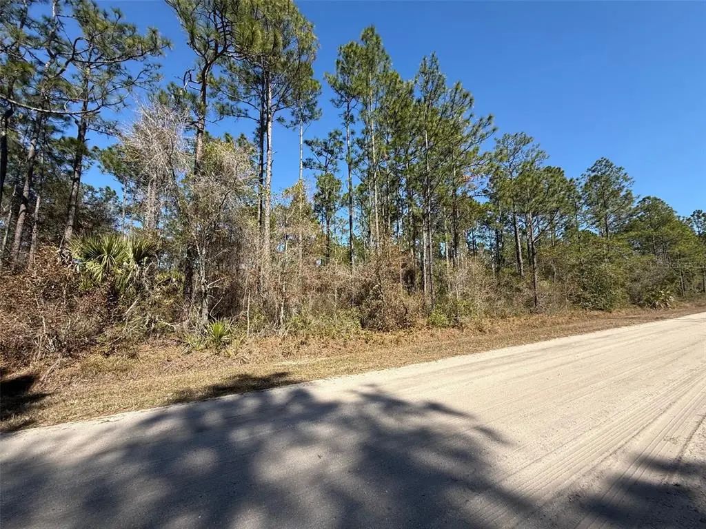4664 Clove Avenue, BUNNELL