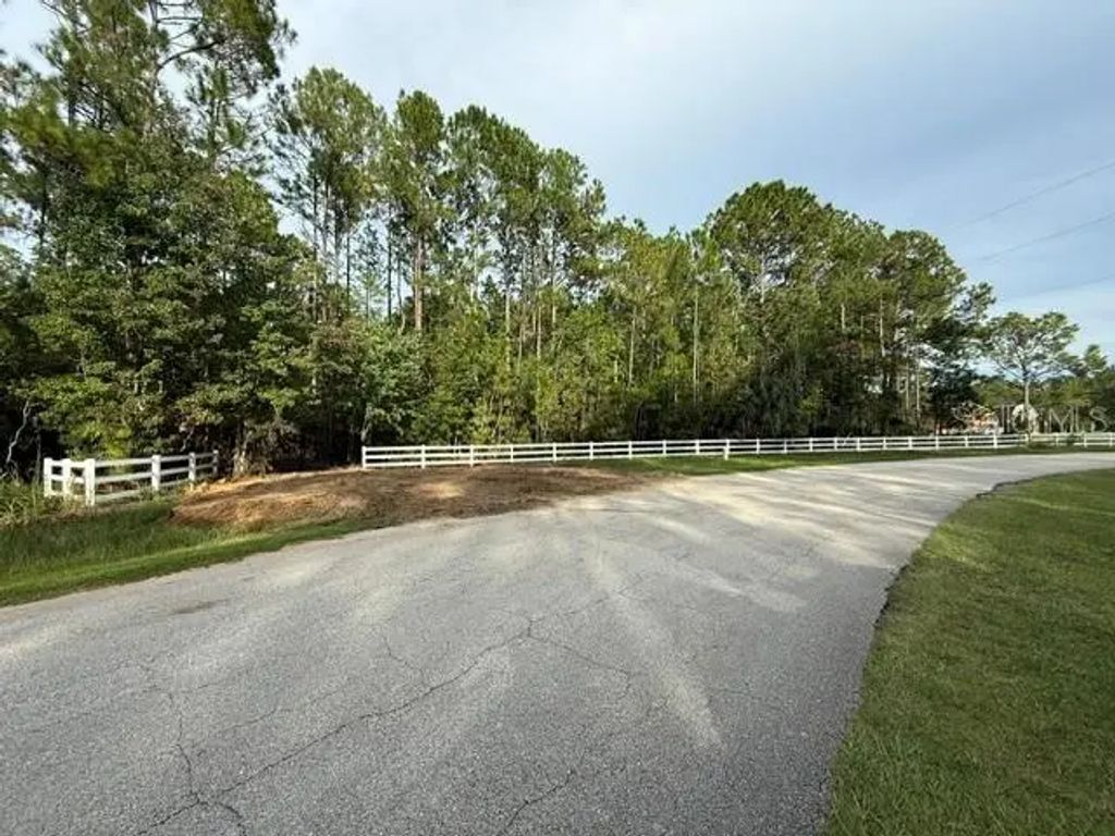 510 Hidden Palms Drive, DAVENPORT