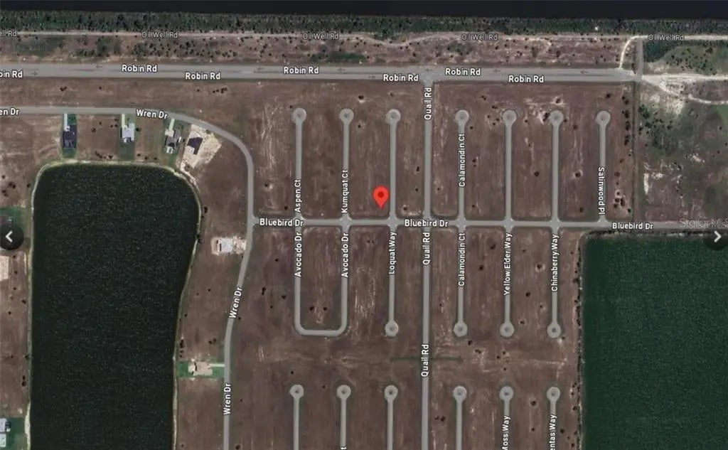 Photo of Listing #O6335341