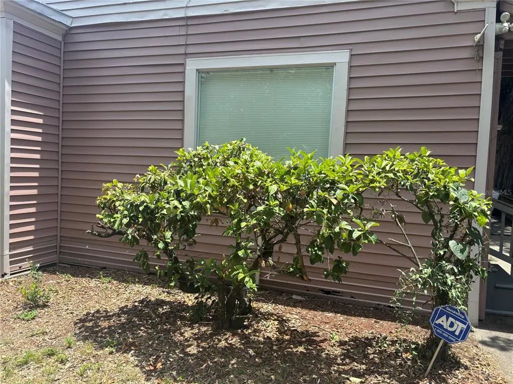 Photo of Listing #TB8524217