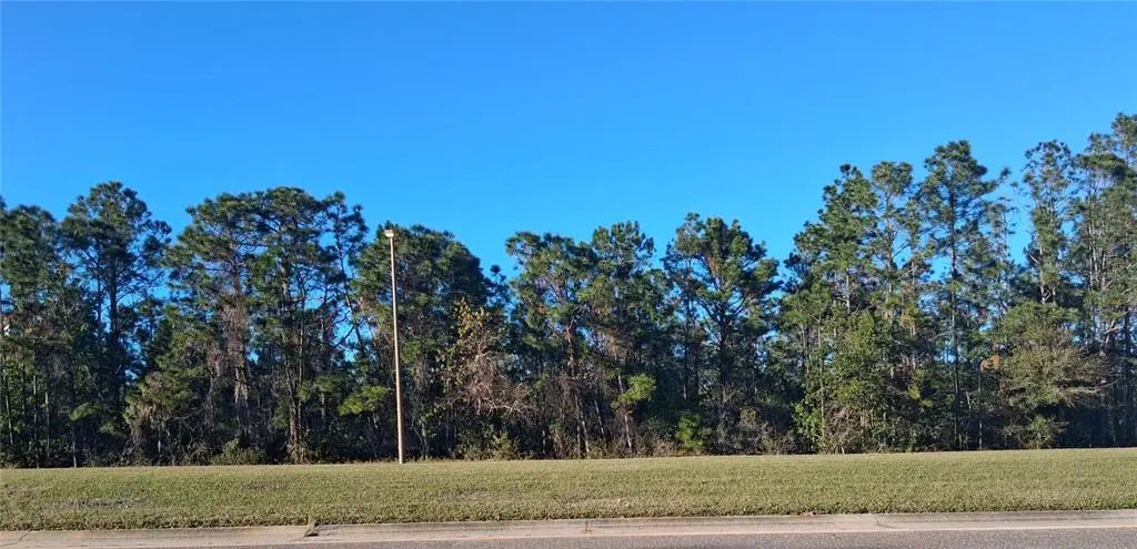 Photo of Listing #S5121181