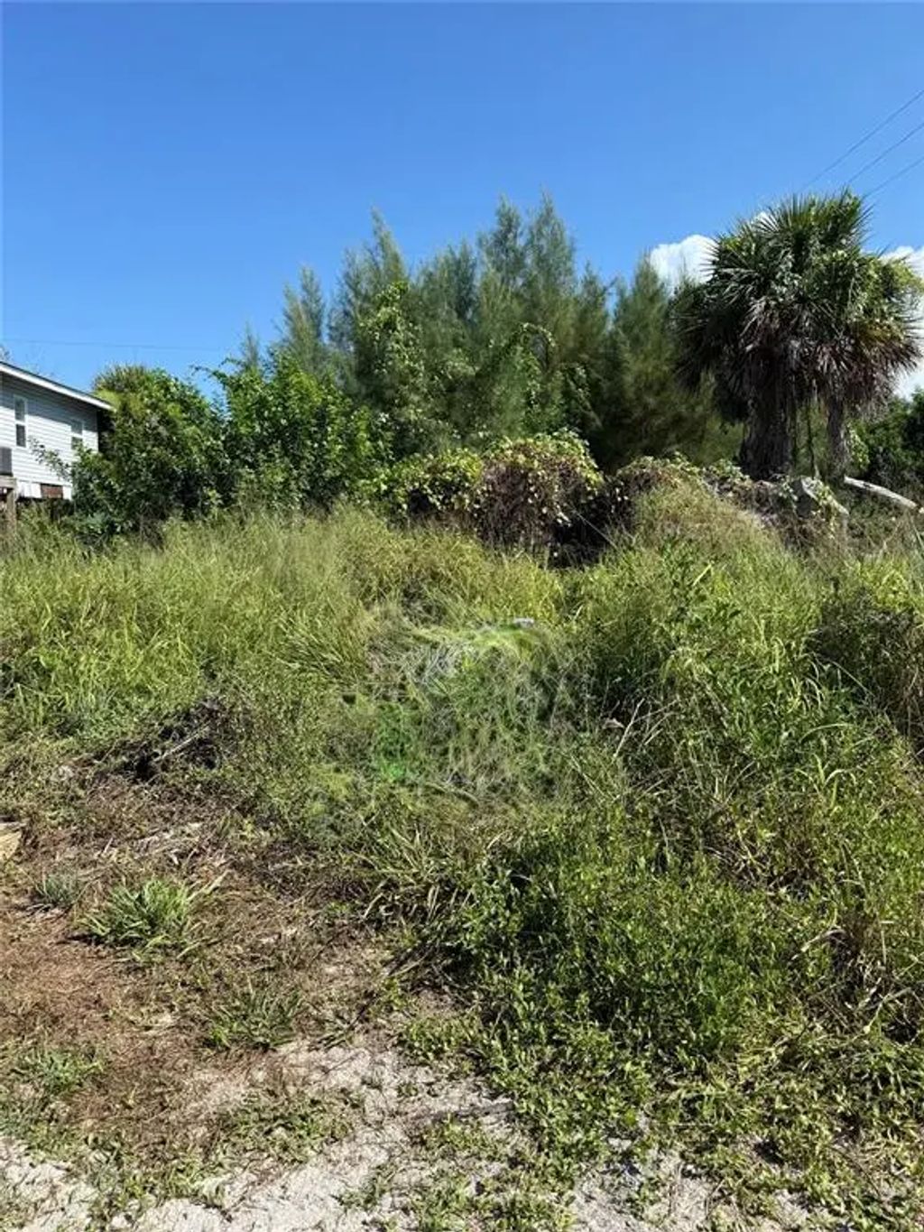 8990 Seagrape Lane, PLACIDA