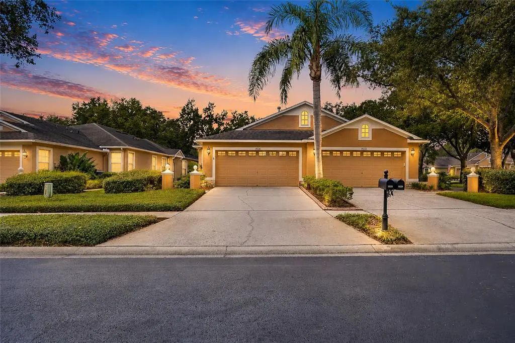19126 White Wing Place, TAMPA