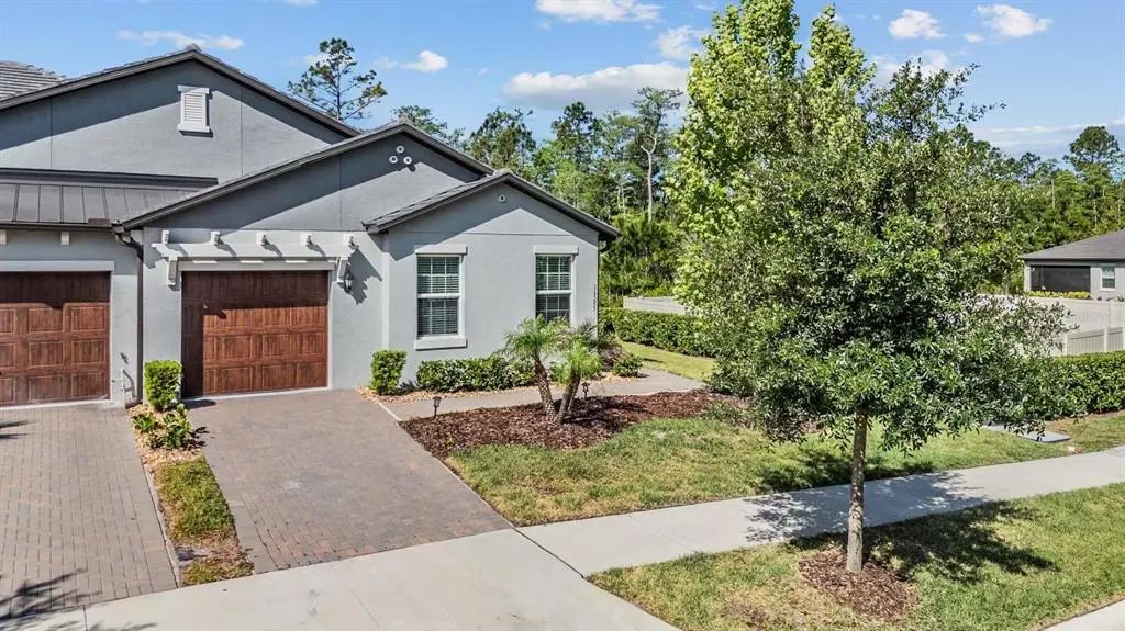 16595 Shell Bay Drive, LAND O LAKES