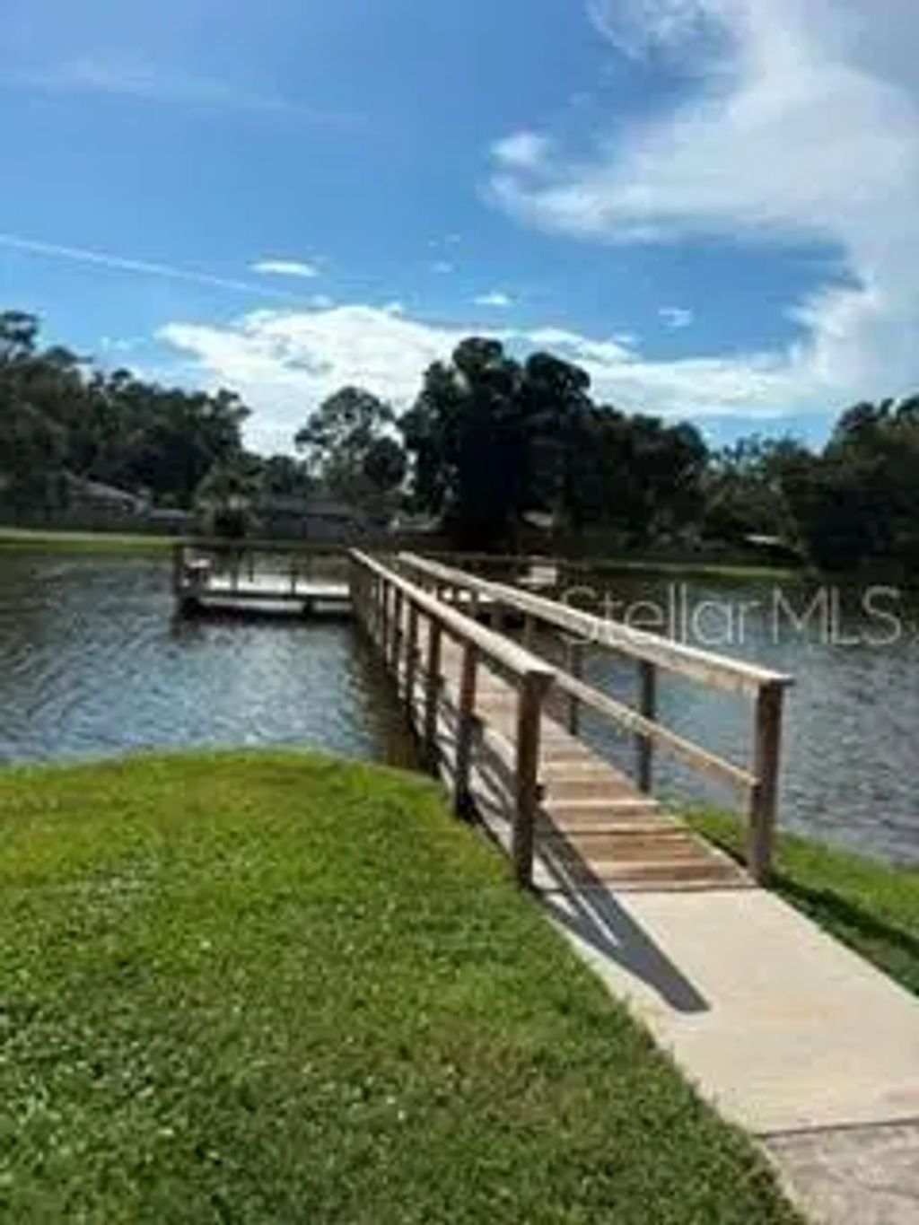 3802 N Oak Drive 32, TAMPA