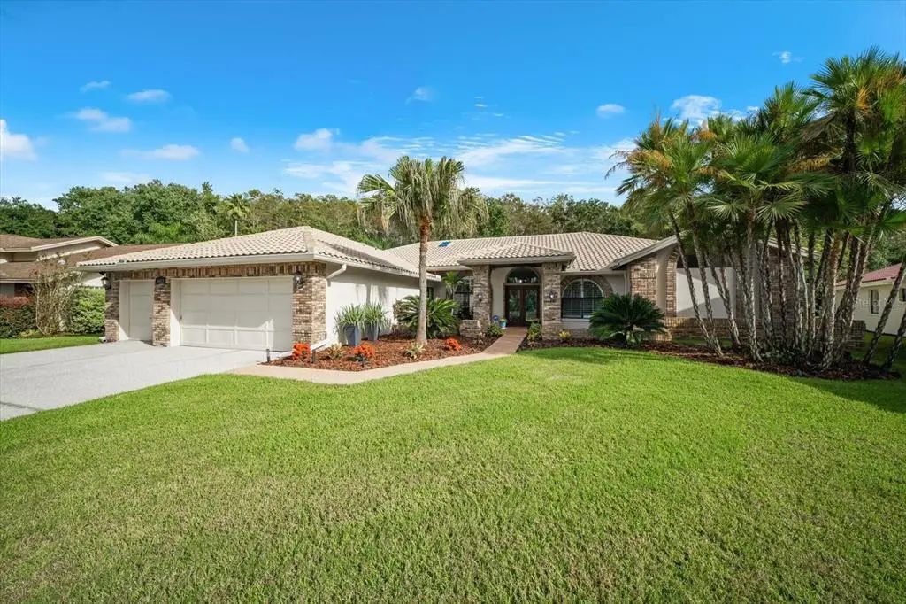 3612 Windber Boulevard, PALM HARBOR