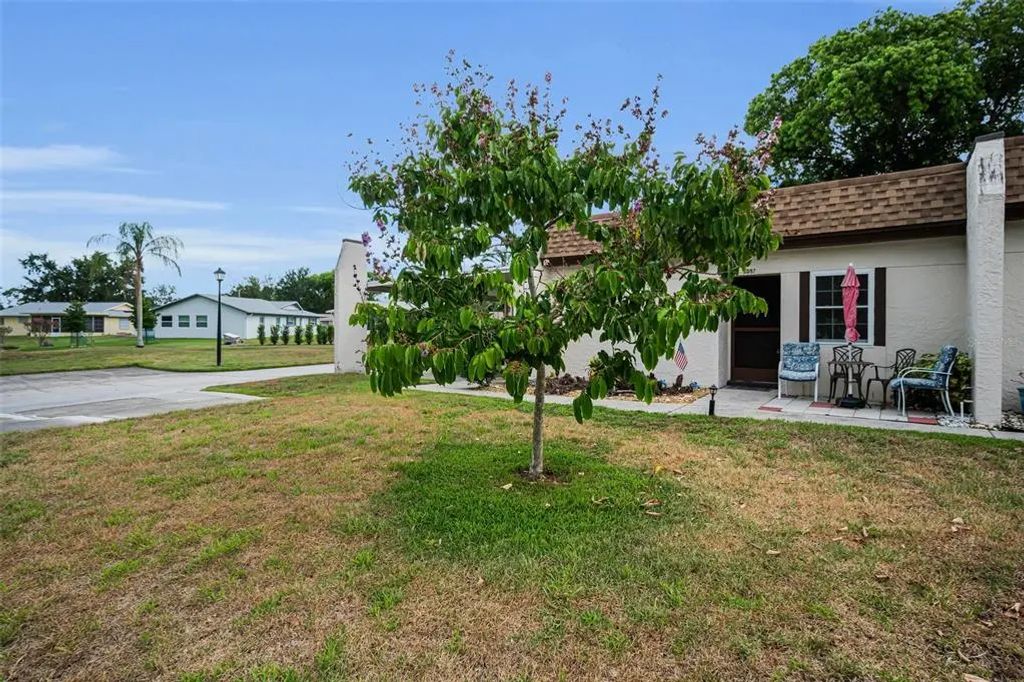 3097 Mission Grove Drive, PALM HARBOR