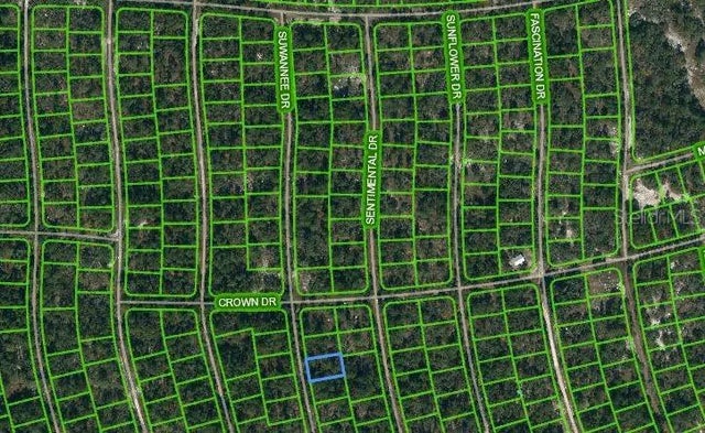 215 Suwannee Drive, LAKE PLACID