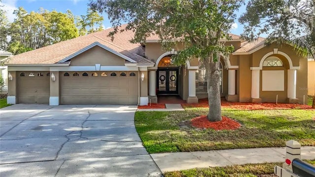5105 Lady Rose Court, LUTZ