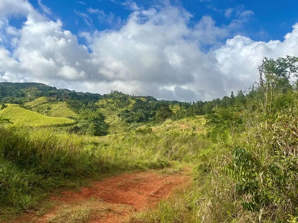 Carr 252 Km.hm 22.2, OROCOVIS