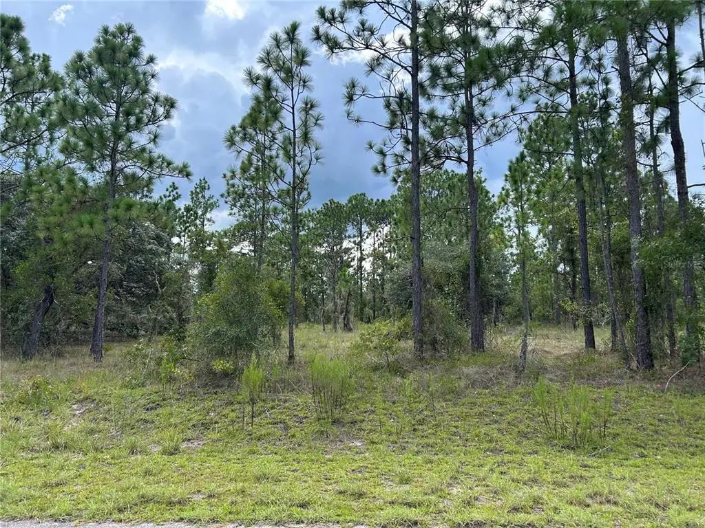 Tbd Se 138th Avenue, DUNNELLON
