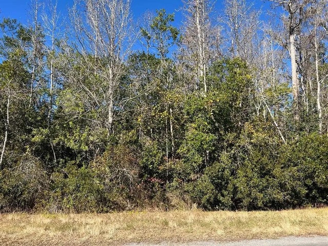 Netherland St, ORLANDO