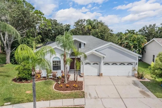11209 Pocket Brook Drive, TAMPA