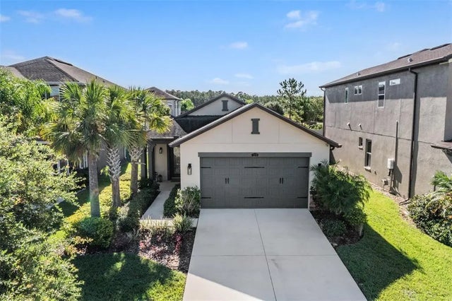 28974 Trevi Place, WESLEY CHAPEL