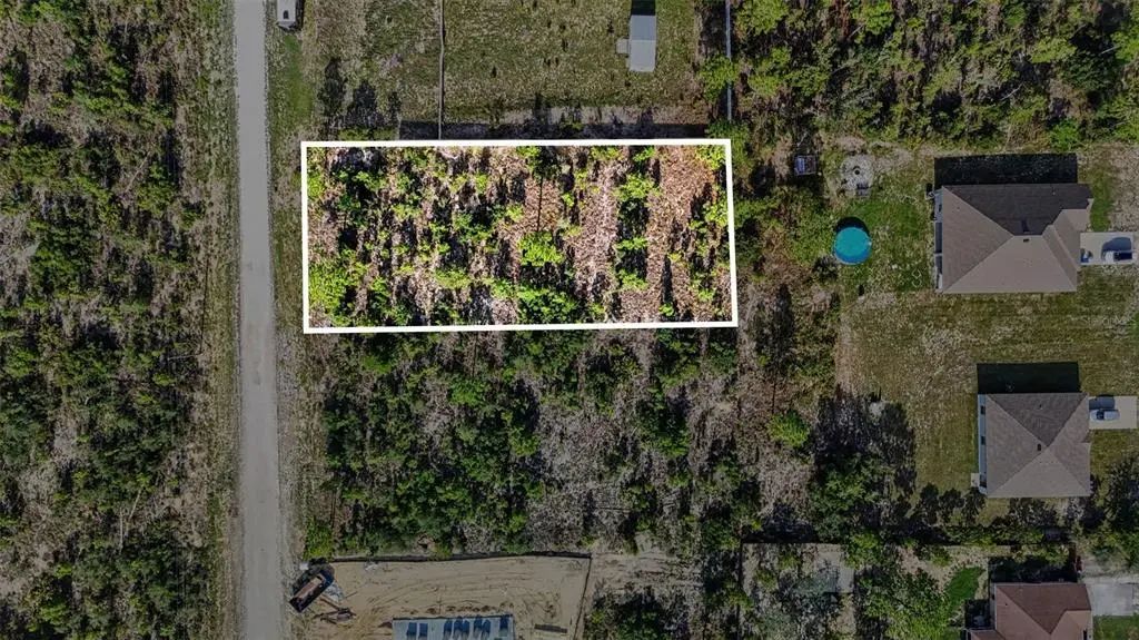 Scissorbill Avenue, WEEKI WACHEE