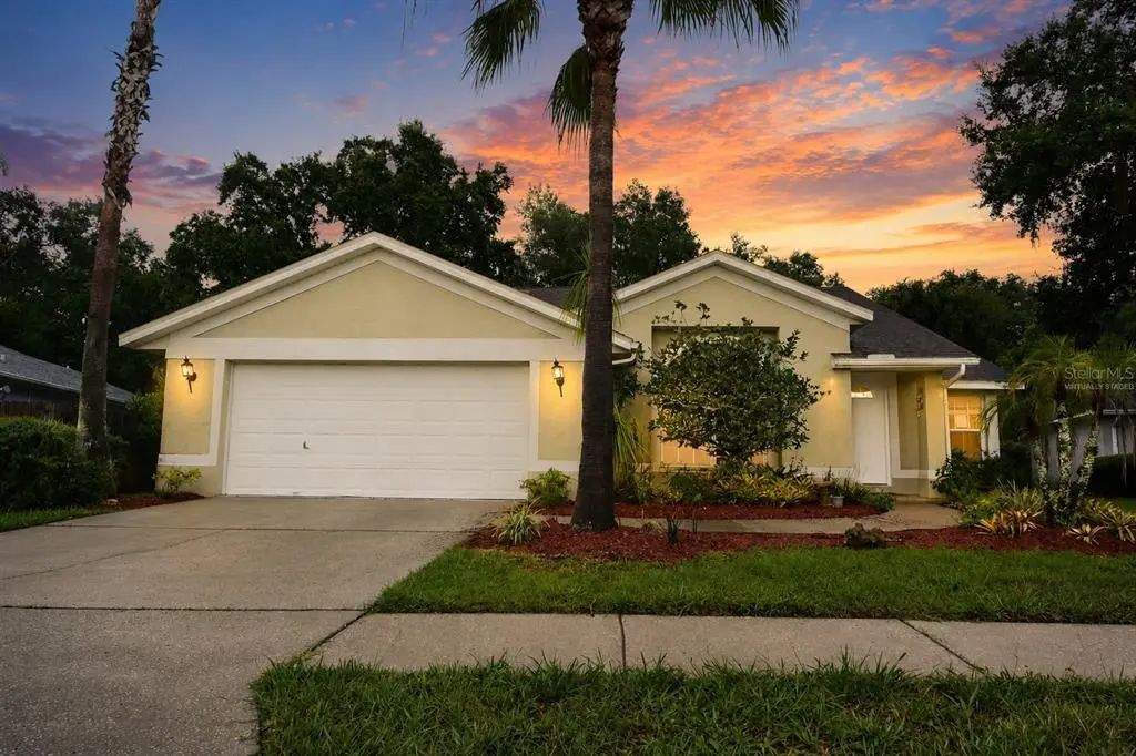 24449 Painter Drive, LAND O LAKES