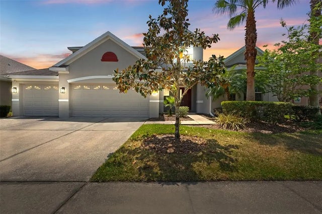 10511 Mistflower Lane, TAMPA