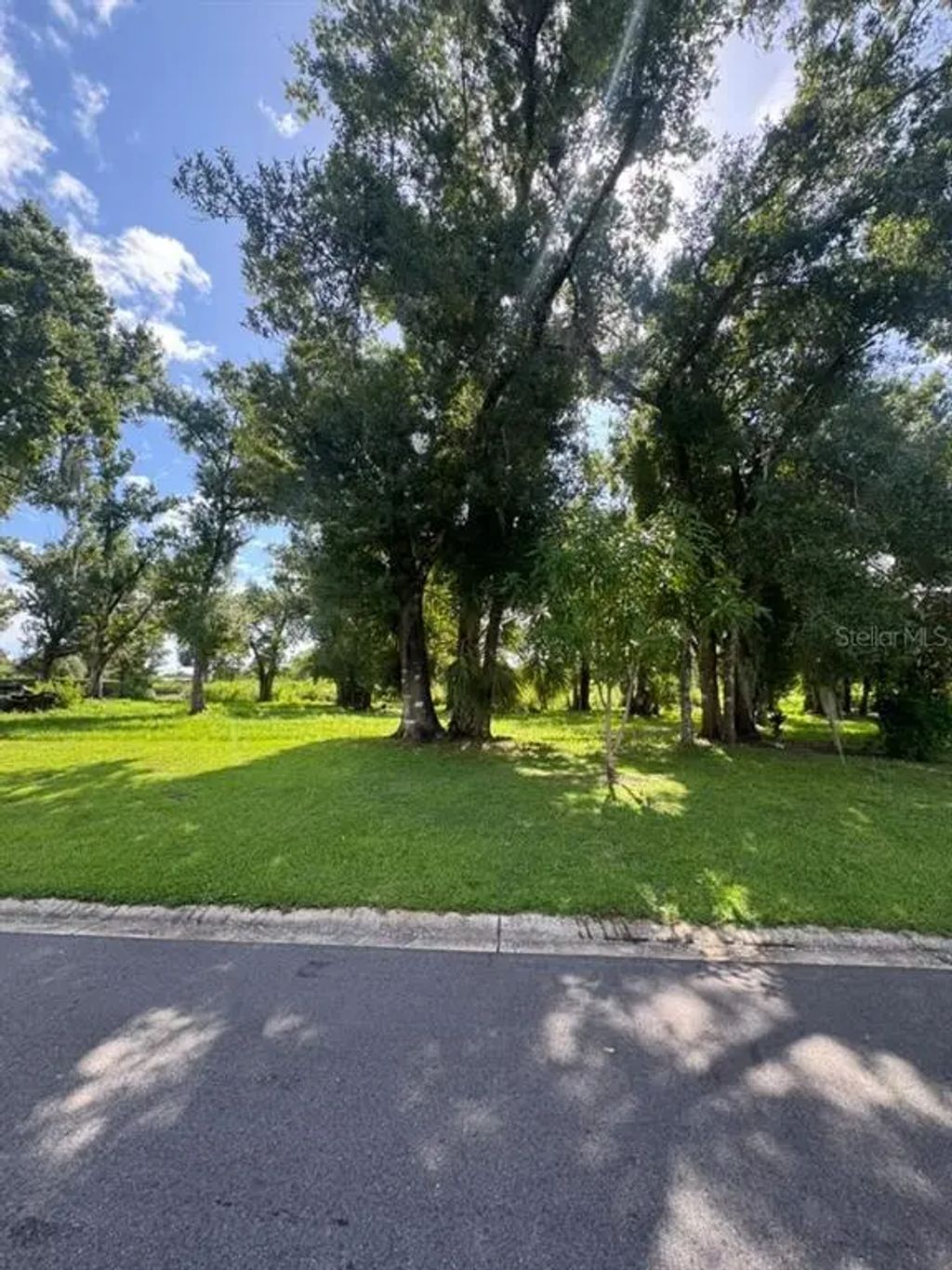 1163 Sw Melody Drive, ARCADIA