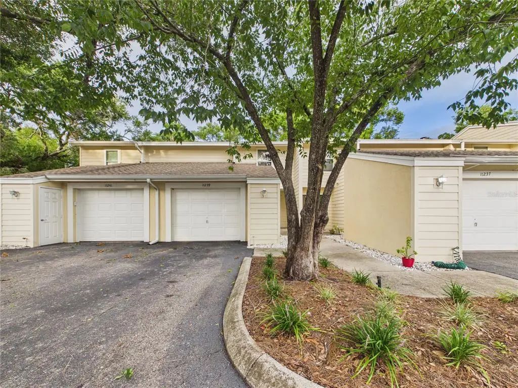 11239 Cedar Hollow Lane, TAMPA