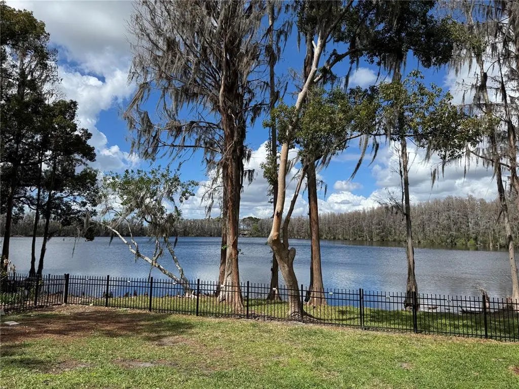 21001 Lake Vienna Drive, LAND O LAKES