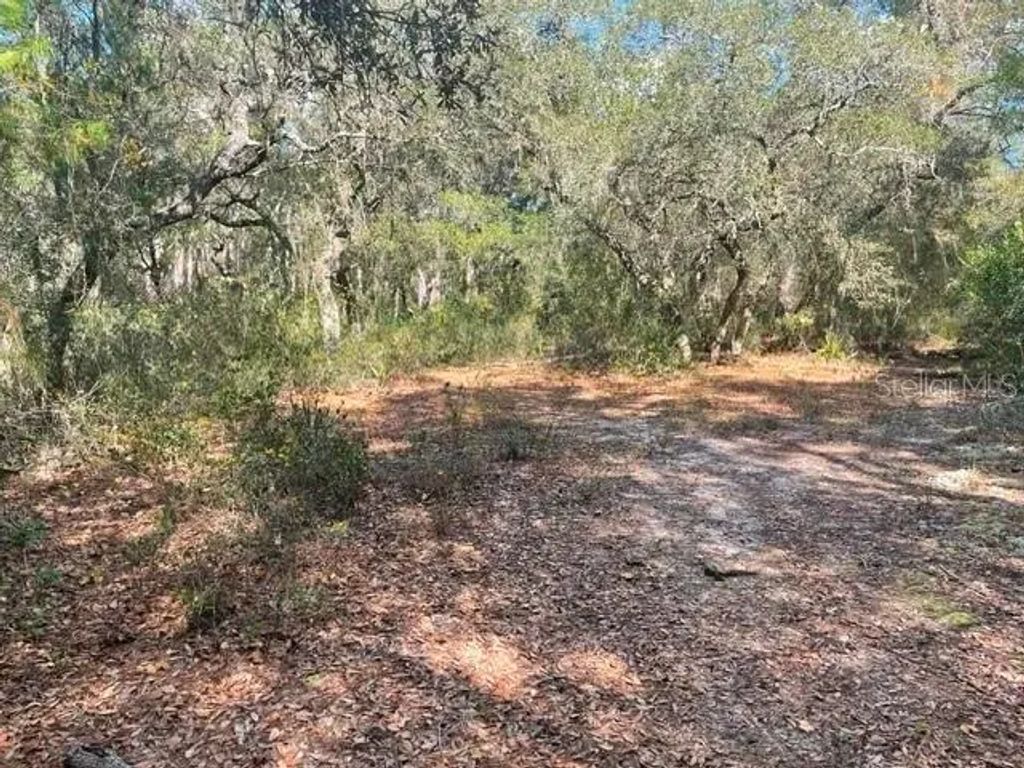 9345 Se 195th Avenue, OCKLAWAHA