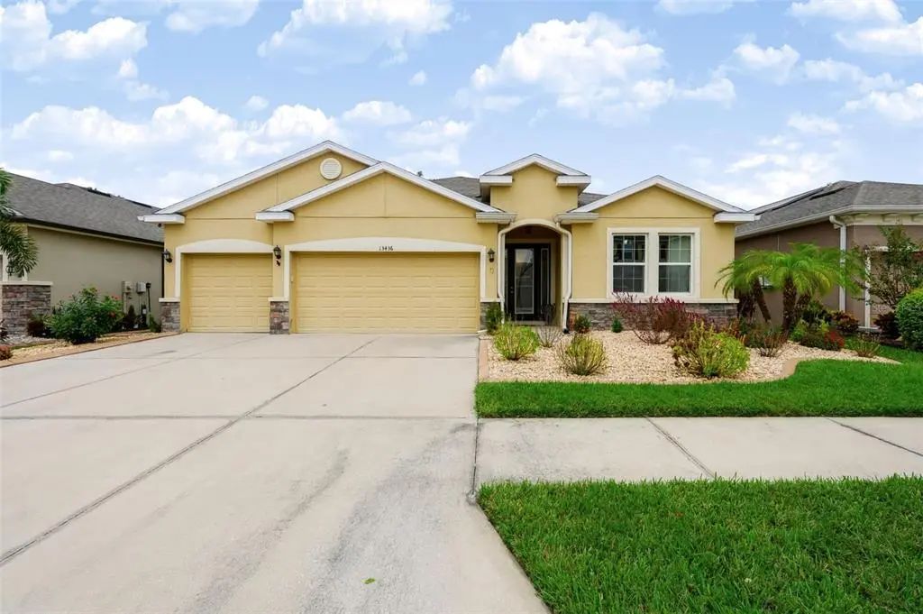 13436 Canopy Creek Drive, TAMPA