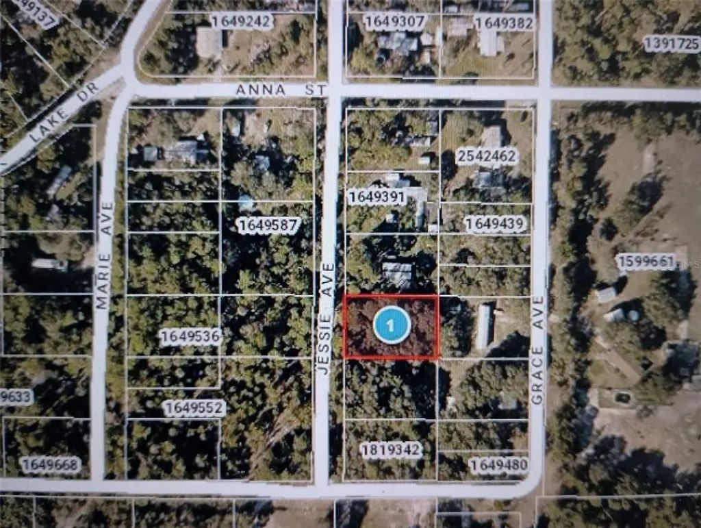 Jessie Avenue, DELAND