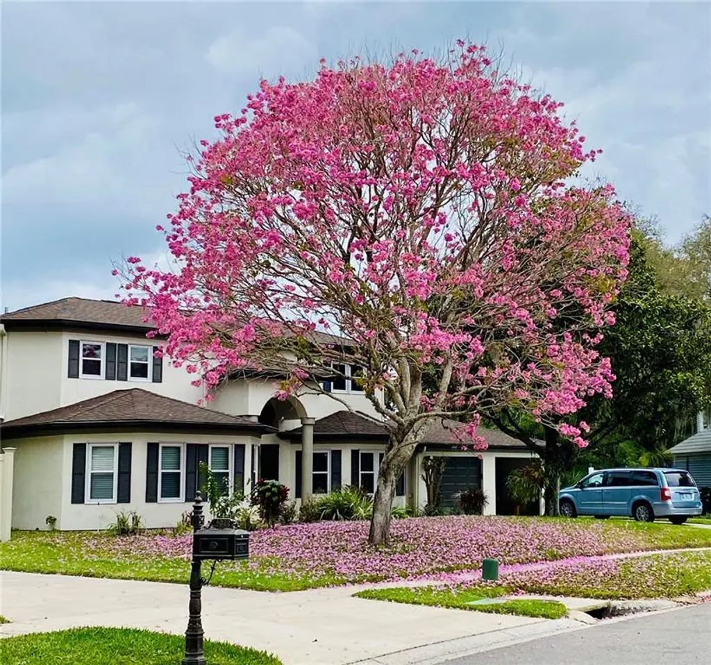 15924 Nottinghill Drive, LUTZ