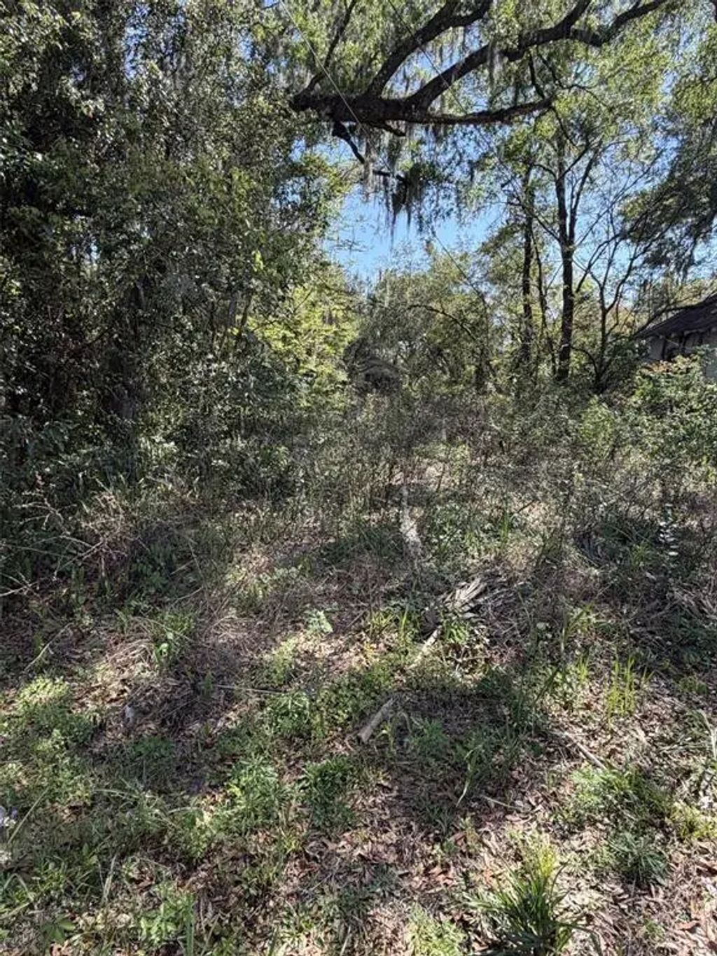 110 East Mercers Fernery Road, DELAND