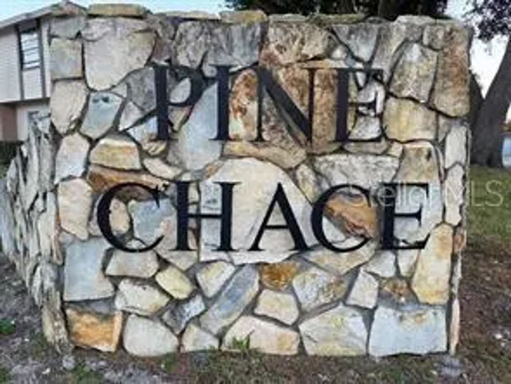 2031 Pine Chace Court, TAMPA