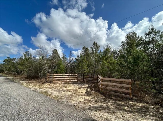 Black Bear Ln, WINTER GARDEN