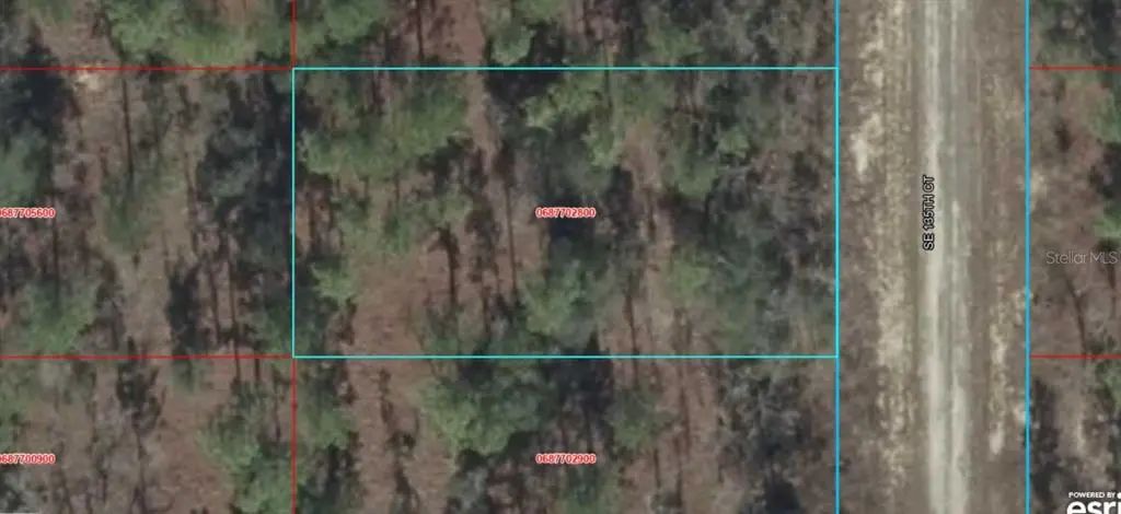 06877-028-00 Se 135th Court, DUNNELLON